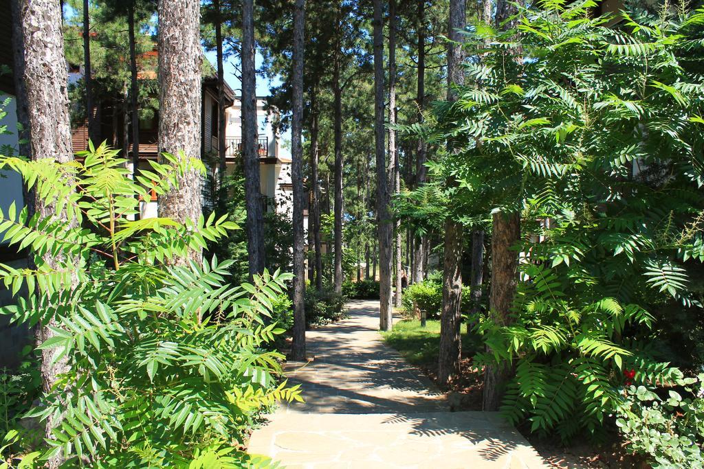 Apartments Dreambg Szozopol Szoba fotó
